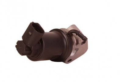 EG00019 1.4.16V / 1.6 16V